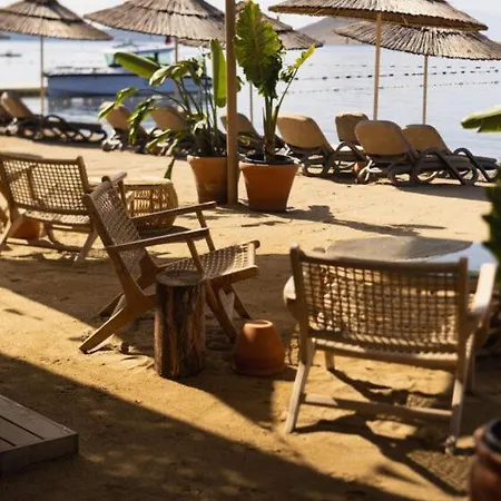 Stylish Beachfront With Pool Gym Sauna Seaview 别墅 博德鲁姆